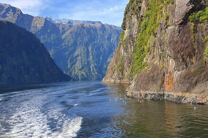 4 Day Tour to Milford Sound, Mount Cook & More from Queenstown - Who this tour fits best (and who might prefer something else)