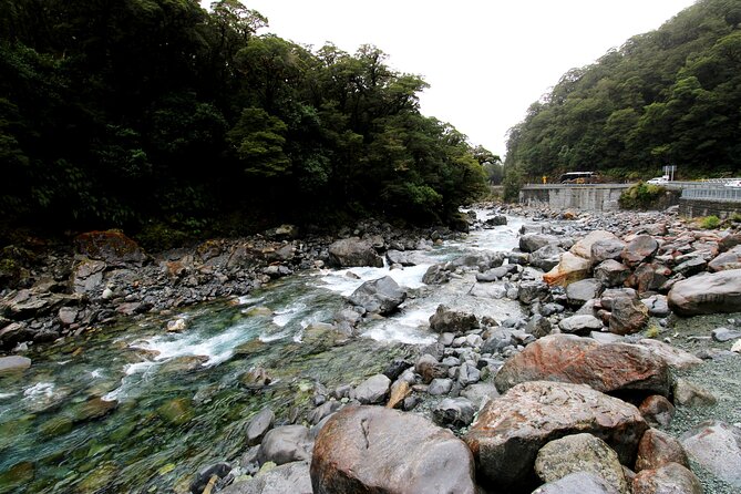 5 Day South Island Tour from Queenstown including Stewart Island - Ferry to Stewart Island: a calmer side of New Zealand
