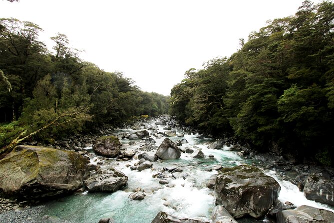 9 Day South to North Island NZ Private Tour from Queenstown - Day 5: Christchurch day-trip options to Kaikōura or Akaroa