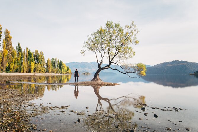 Arrowtown and Wanaka Highlights Tour from Queenstown - Key highlights at a glance