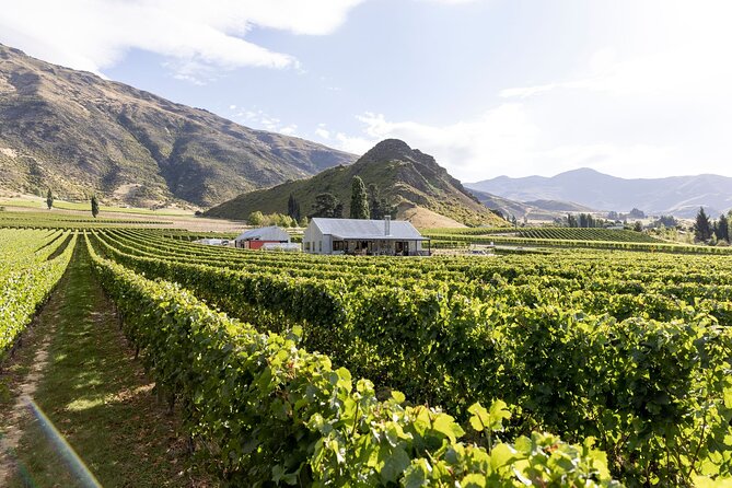 Award Winning Premium Wine Tour Queenstown Tasting at 4 Wineries - 6 hours, 4 wineries, and a luxury Mercedes van: how the day really flows