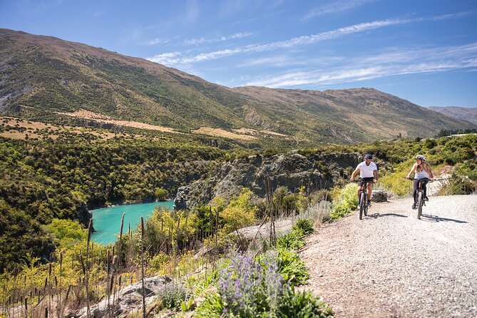 Bike The Wineries (1/2 Day) - Quick Pedal to Pinot - Mountain bike comfort and the small issues that can change the ride