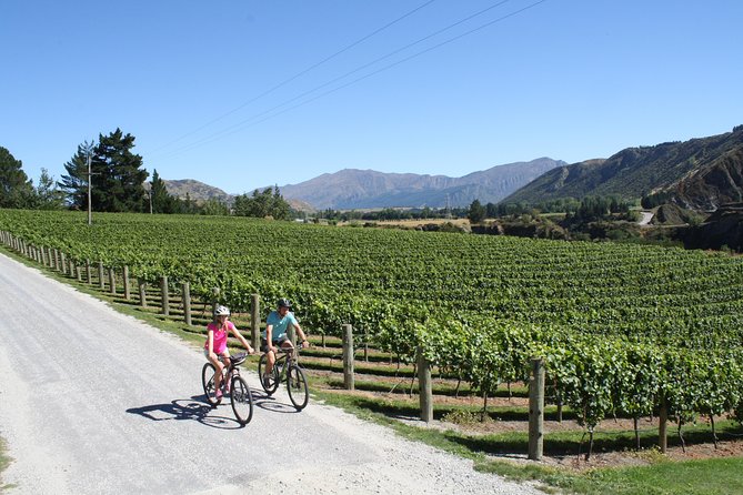 Bike The Wineries (3/4 Day) - Ride Through Queenstown Vineyards - Bike choice: why electric bikes can save your tasting time