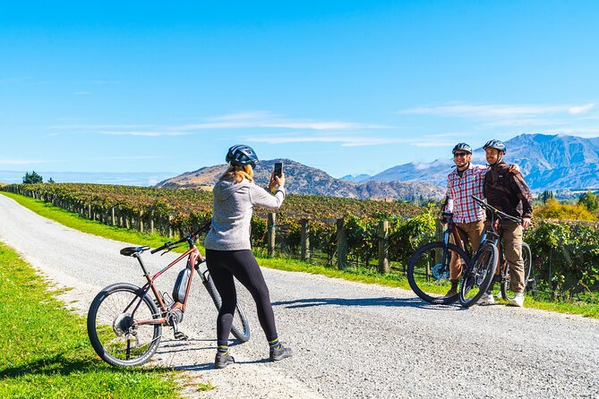 Bike The Wineries (Full-Day) - Bike & Wine Tour - Bikes, effort level, and the real feel of the trail