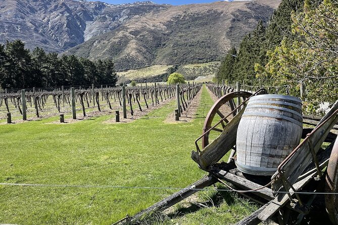 Bike & Wine Tour: Arrowtown to Valley of the Vines - Key highlights worth knowing