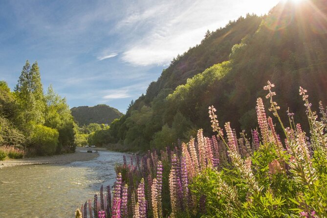 Bike & Wine Tour: Arrowtown to Valley of the Vines - Cost and value: $73.85 for riding support, not wine-tab surprises