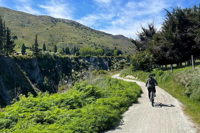 Bike & Wine Tour: Arrowtown to Valley of the Vines - Who should book this bike-and-wine day in Queenstown