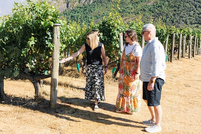 Boutique Wine Tour - visit Central Otago, 4 Wineries & Lunch - Bannockburn lunch platter: where the day gets comfortable