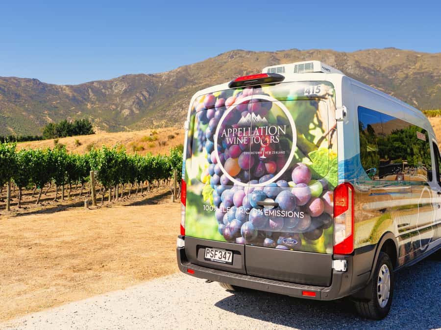 Boutique Winery Half-Day Tour & Vineyard Platter-Style Lunch - Price and Value: What $166 Buys You Here