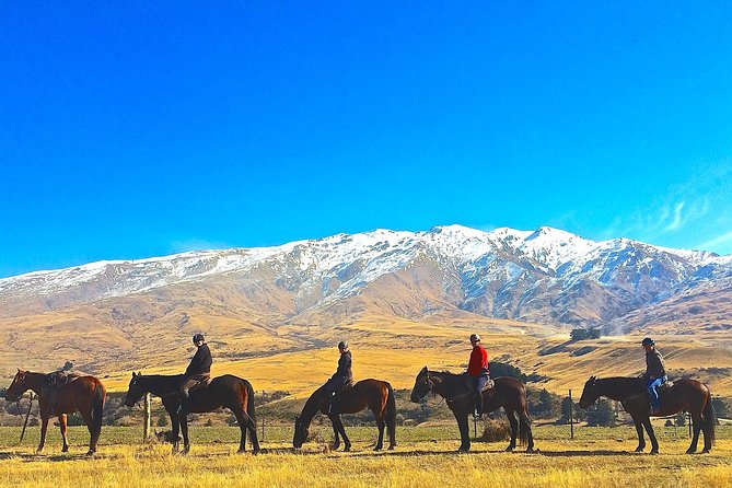 Cardrona High Country Pub Trail Horse Trek (Intermediate level+) - Why the Cardrona pub trail is more than a scenic ride