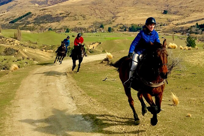 Cardrona High Country Pub Trail Horse Trek (Intermediate level+) - Central Otago gold-rush history you can connect to the ground beneath you