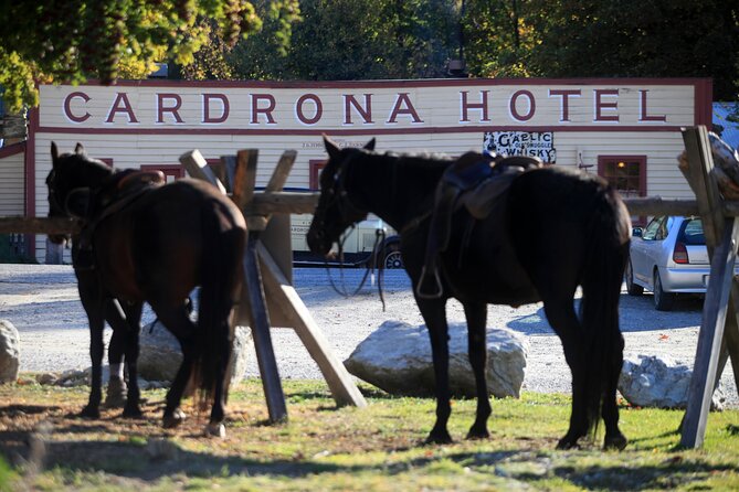 Cardrona High Country Pub Trail Horse Trek (Intermediate level+) - Weather and comfort: how to dress for all conditions and no shade