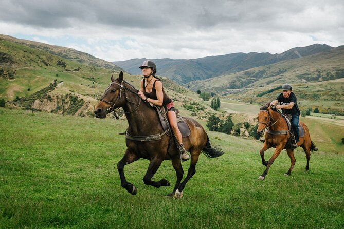 Cardrona High Country Pub Trail Horse Trek (Intermediate level+) - Price and value: what $433.78 gets you on a 7-person trek