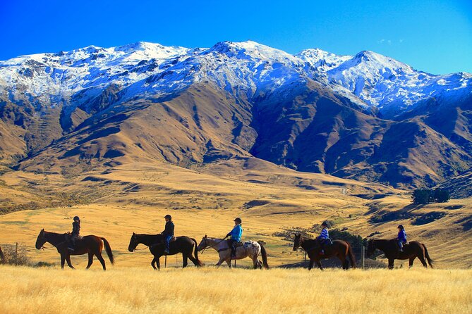 Cardrona High Country Pub Trail Horse Trek (Intermediate level+) - Horse matching, helmets, and why these horses sound well cared for
