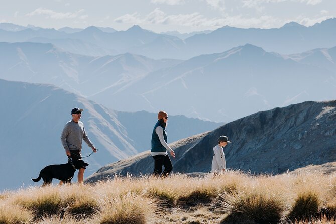 Cardrona Summer Gondola Sightseeing Pass - Key highlights at a glance