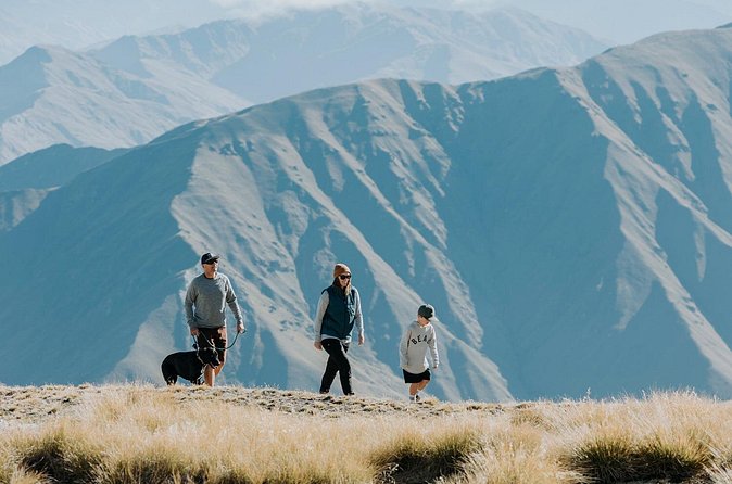 Cardrona Summer Gondola Sightseeing Pass - Stop-by-stop: what happens from arrival to return