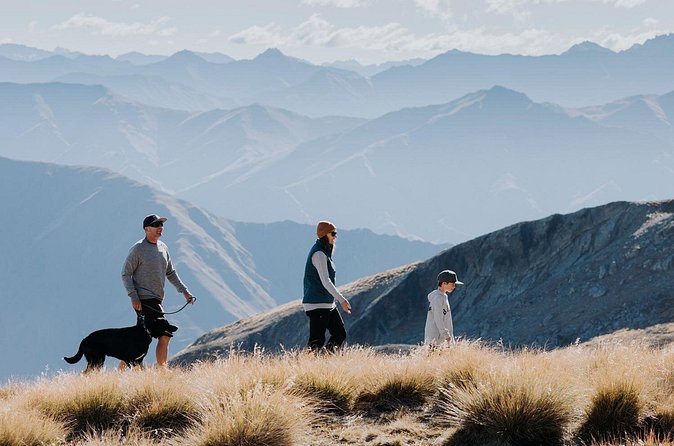 Cardrona Summer Gondola Sightseeing Pass - Price and value: $21.72 for a summit outing that saves your legs