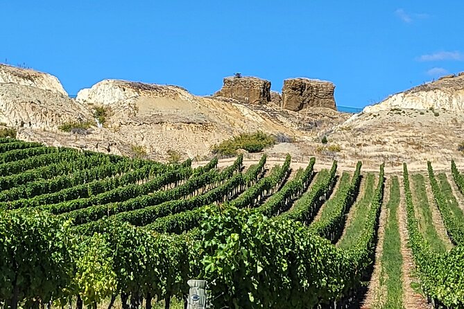 Central Otago Wine Tour Small Group, Expert Guide & Scenic Views - Stop 1: Kinross hosted tasting (a 45-minute start that sets the tone)