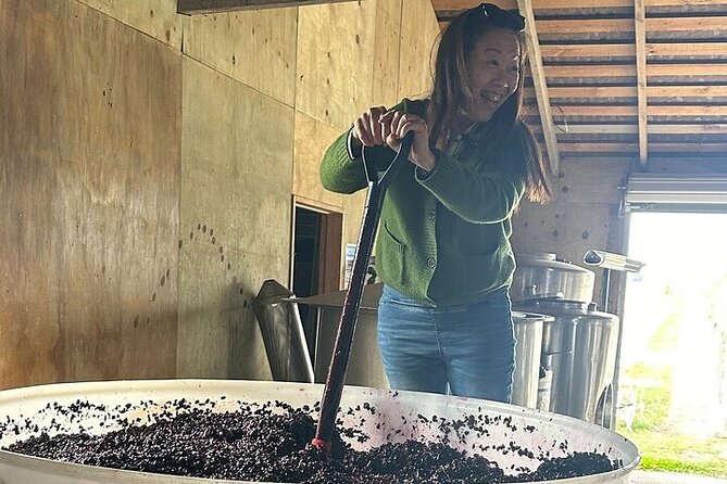 Chef's Private Otago Wine tour with gourmet lunch from Queenstown - Key highlights (quick hits before you book)