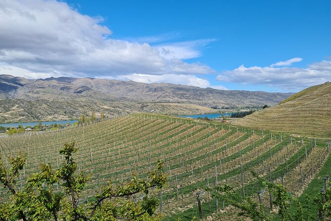 Cromwell Wine Tasting Tour using Classic Car - Who should book this Cromwell classic car wine day