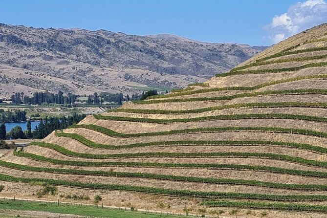 Cromwell Wine Tasting Tour using Classic Car - Practical tips for a smooth 10:00 am start