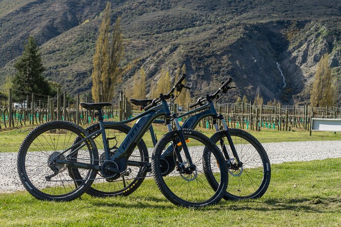 E-Bike Adventures Through the Wineries in Gibbston - Old gold mining relics and a Bungy Jumping landmark stop