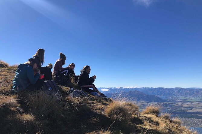 ebike tour lake Hawea river track to Wanaka - The Wanaka bakery stop is more than a snack break