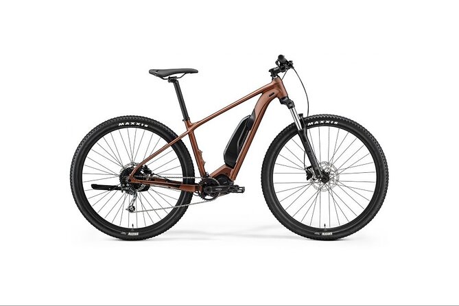 Explore Queenstown's Scenic Trails with an Electric Bike - The Frankton Track and Lake Wakapitu Option for an Easy-Feel Day