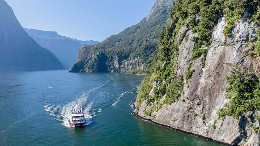 From Queenstown: Coach, Farm Tour & Milford Nature Cruise - A Car-Free Milford Day: Farm Life plus Fiordland Views
