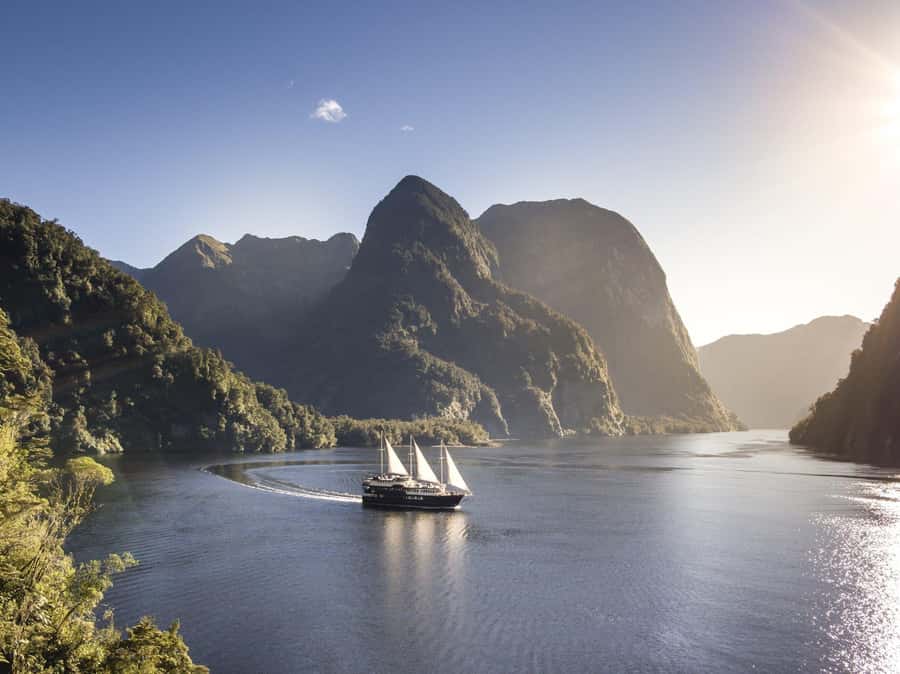 From Queenstown: Doubtful Sound Wilderness Day Trip - Key Things I’d Mark As Must-Know