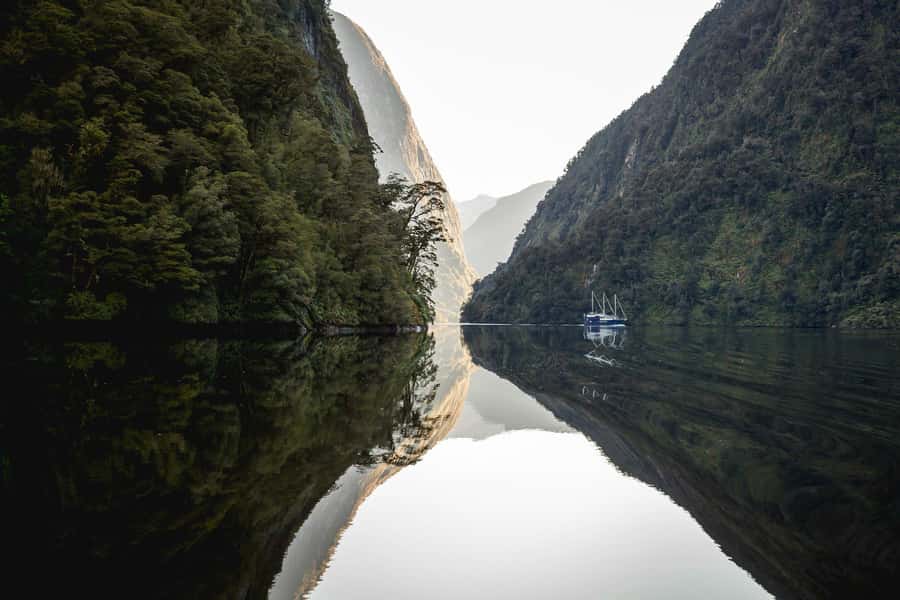 From Queenstown: Doubtful Sound Wilderness Day Trip - Food and Drinks: Don’t Get Surprised by the Cashless Café Setup