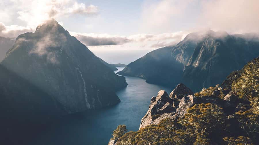 From Queenstown: Milford Sound Business Class with Cruise - Helpful planning tips for a smoother day