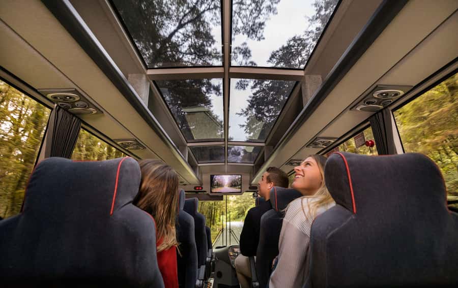 From Queenstown: Milford Sound Coach, Cruise, Scenic Flight - Milford Road stops: Mirror Lakes, the Chasm, and the Homer Tunnel breaks
