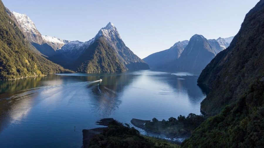 From Queenstown: Milford Sound Cruise and Coach Day Tour - Price and value: why $162 can work out well