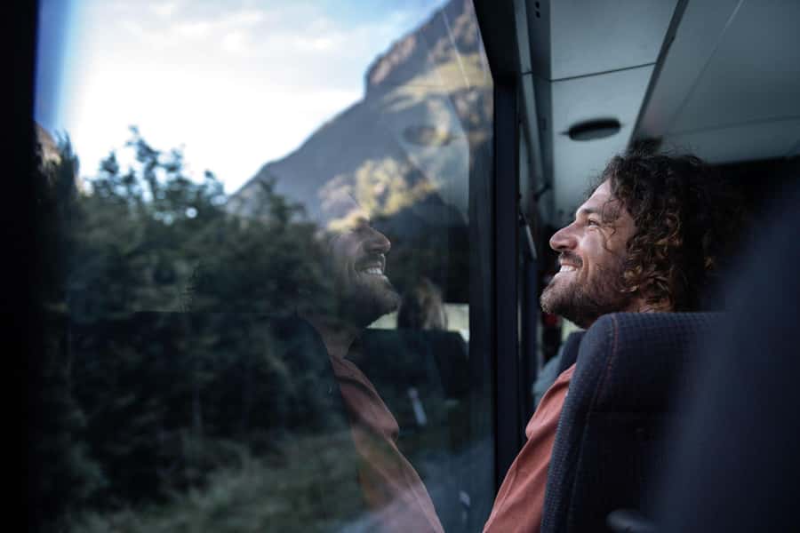 From Queenstown: Milford Sound Cruise and Coach Day Tour - Wildlife-spotting mindset: how to increase your odds without stressing