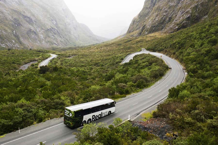 From Queenstown: Milford Sound Cruise and Coach Day Tour - Glass-roof coach comfort and the impact of your driver-guide