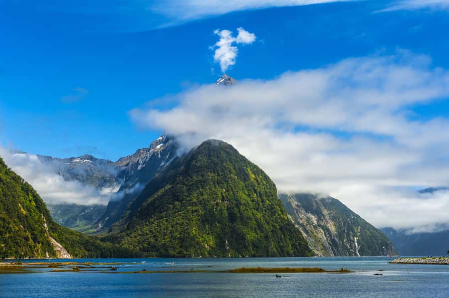 From Queenstown Milford Sound Cruise & Glass-Roof Coach Tour - Mirror Lakes: the quick stop that makes the whole day feel worth it