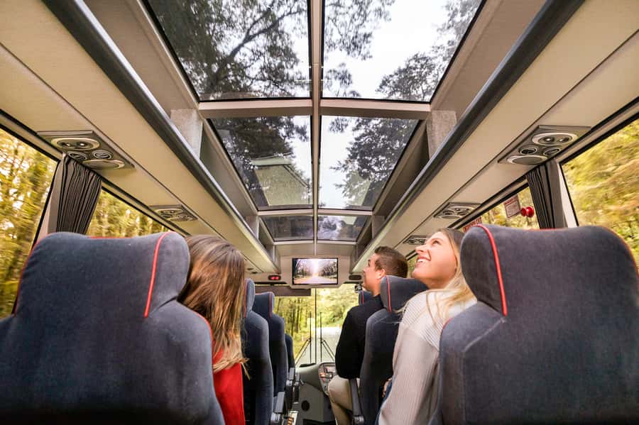 From Queenstown: Milford Sound Day Trip on Premium Coach - Key things I’d plan around