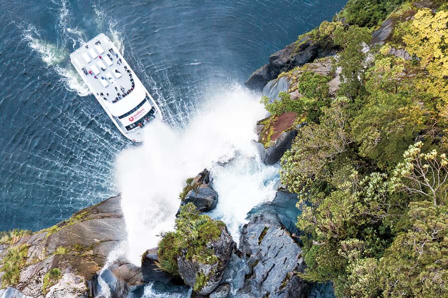 From Queenstown: Milford Sound Day Trip on Premium Coach - Mirror Lakes, Eglinton Valley, and Monkey Creek: the short stops that make the drive worth it