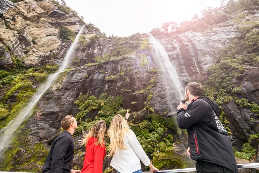From Queenstown: Milford Sound Day Trip on Premium Coach - Top deck vs cabins: how I’d choose your spot for the best views