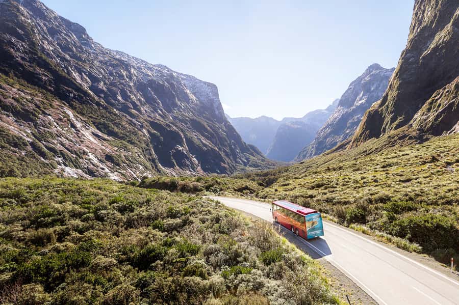 From Queenstown: Milford Sound Day Trip on Premium Coach - Commentary that actually helps: live driver talk + Southern Discoveries app