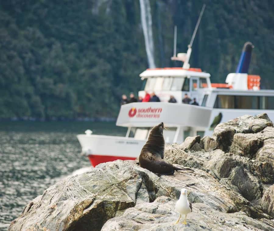 From Queenstown: Milford Sound Discover More Longest Cruise - Queenstown to Milford Sound: a 13.5-hour day with guided payoff