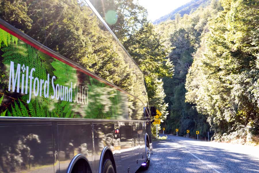 From Queenstown: Milford Sound Premium Day Tour and Cruise - What Makes This Day Tour Work So Well