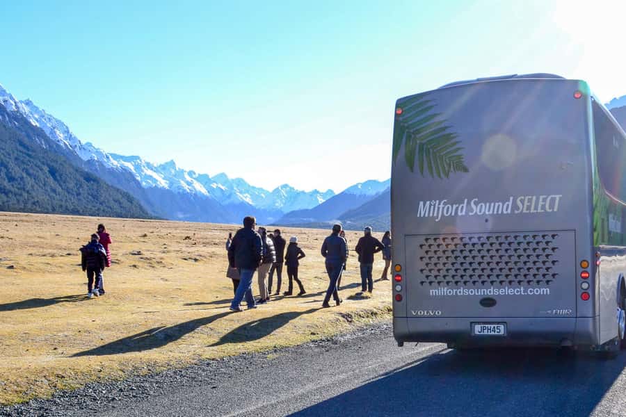 From Queenstown: Milford Sound Premium Day Tour and Cruise - Key Highlights at a Glance