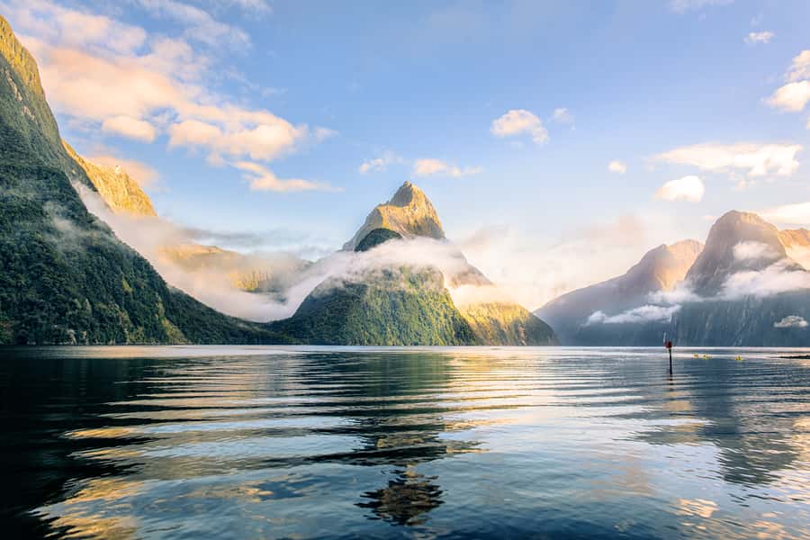 From Queenstown: Milford Sound Premium Day Tour and Cruise - Te Anau: The Coffee Stop That Keeps the Day From Dragging