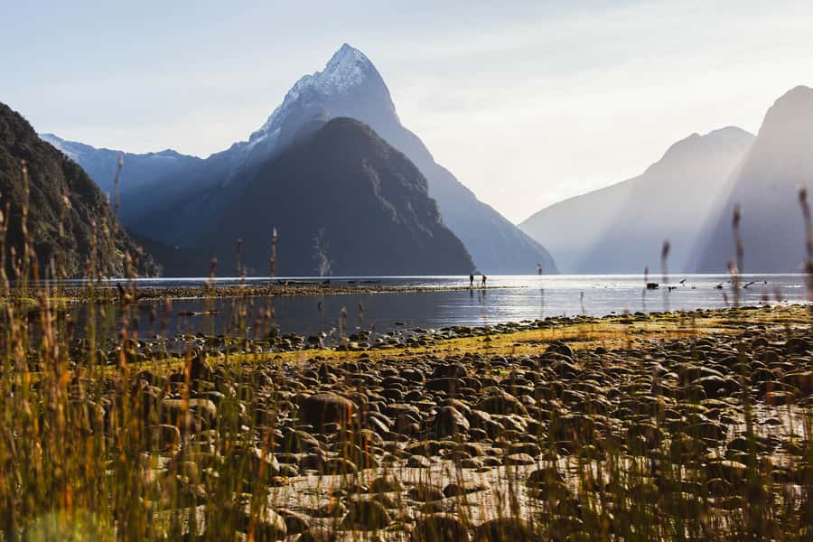 From Queenstown: Milford Sound Scenic Flight & Nature Tour - Comfort, Timing, and What to Pack for a Smooth Day