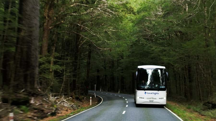From Queenstown: Scenic One-Way Tour to Franz Josef - A Comfortable West Coast Transfer That Doesn’t Feel Like Just Getting There