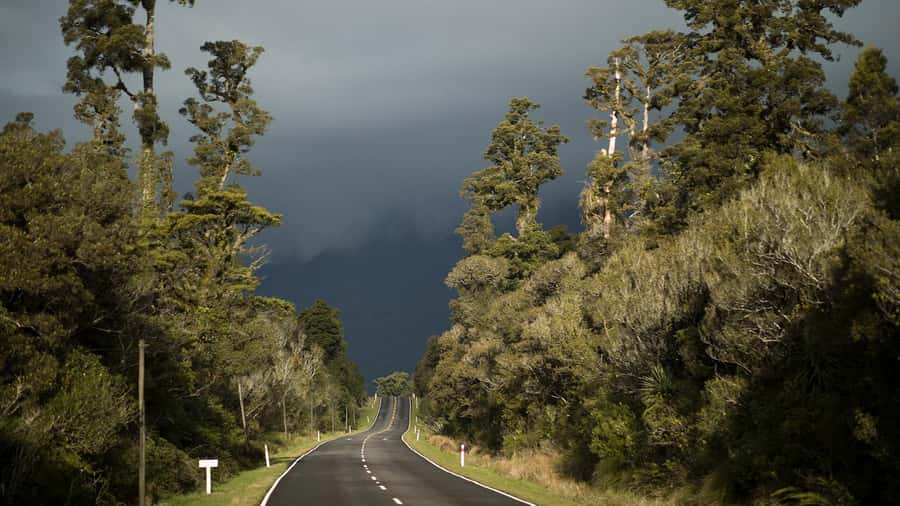 From Queenstown: Scenic One-Way Tour to Franz Josef - Haast Lunch Break: A Reset Before the Final Stretch