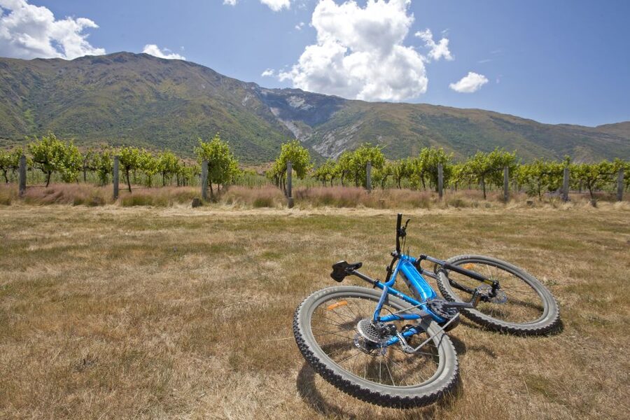 From Queenstown: 'Valley of the Vines' Wine and Bike Tour - Gold panning on the Arrow River: try it before you skip it