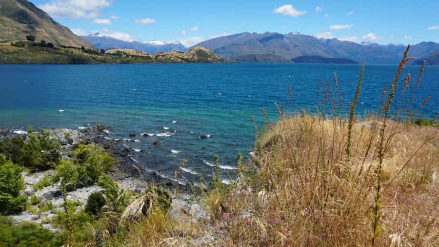 From Wanaka: Ruby Island 1-Hour Cruise and Photo Walk - Key highlights worth your time